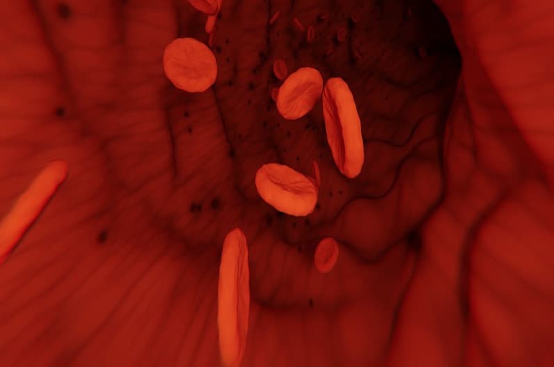 home remedy tips to increase blood; अगर आप भी है खून की कमी से परेशान, तो अपनाएं ये नेचुरल तरीका, जल्द मिलेगा फायदा