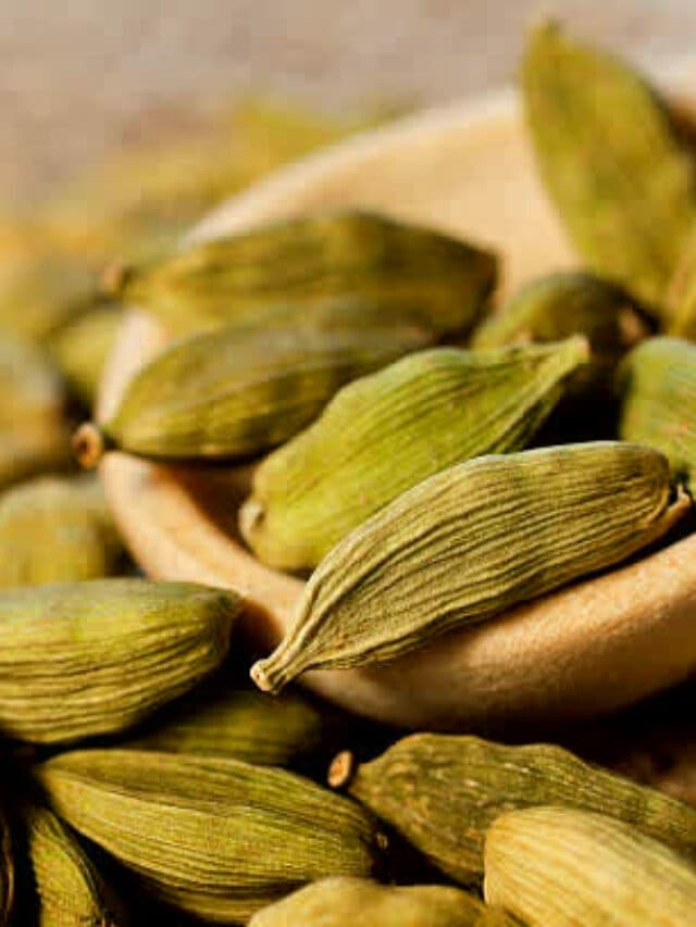 Benefits of small cardamom: छोटी इलायची खाने के फायदे