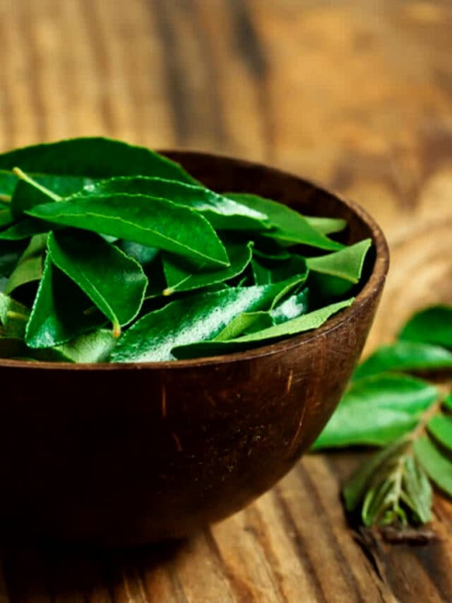 Curry Leaves Benefits : रोजाना करी पत्ता खाने से मिलते हैं गजब के फायदे