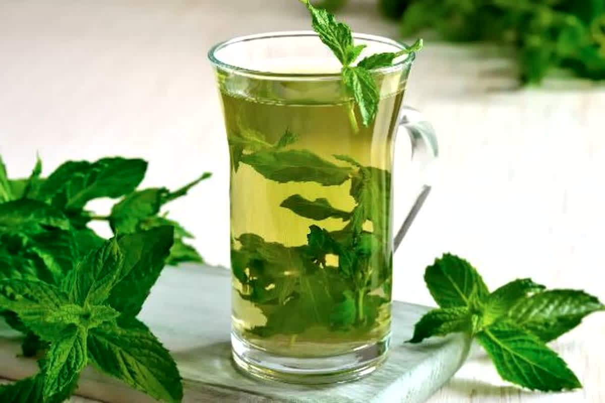 Mint Water Benefits: गर्मियों में लू से बचने के लिए रोज पिएं पुदीना का जूस, मिलेगी भरपूर एनर्जी, जानें इसके फायदे