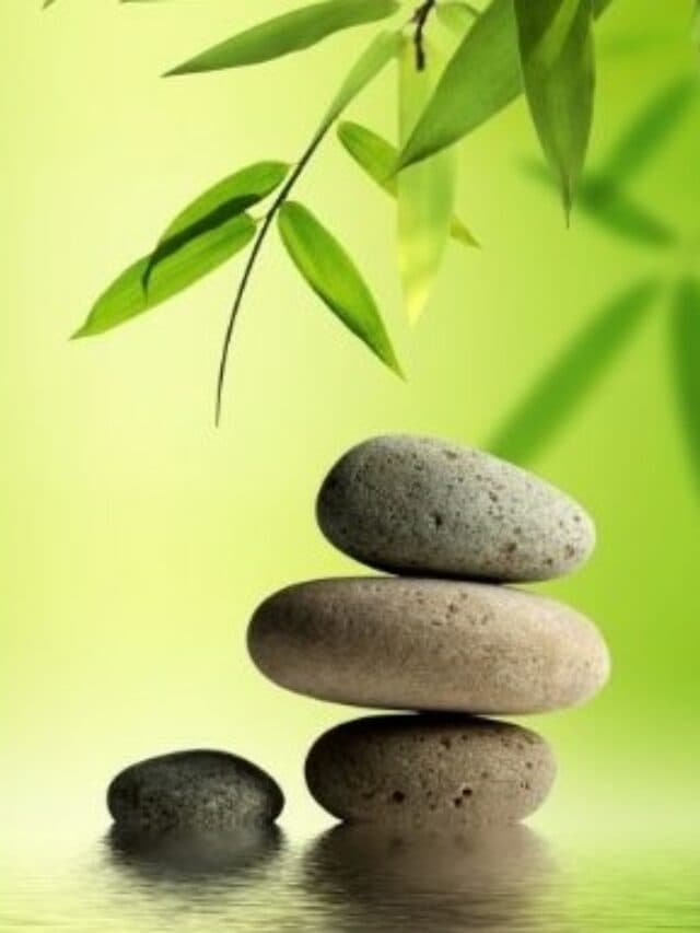 Feng Shui Remedies: आज ही करें ये 5 उपाय, कभी नहीं रहेगी तिजोरी खाली