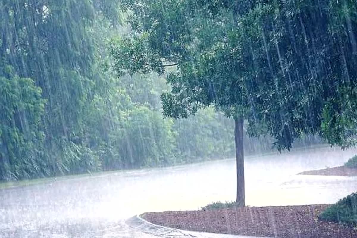 MP Weather Update: प्रदेश में अगले 24 घंटे मे होगी मानसून की एंट्री, आंधी-बारिश के 4 सिस्टम एक्टिव होने से जमकर बरसेंगे बदरा