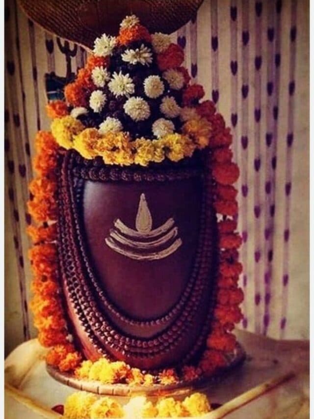 Lord Shiva Favourite Flower: सावन भर भगवान शिव को चढ़ाएं इनमें से कोई एक फूल, प्रसन्न होंगे महादेव