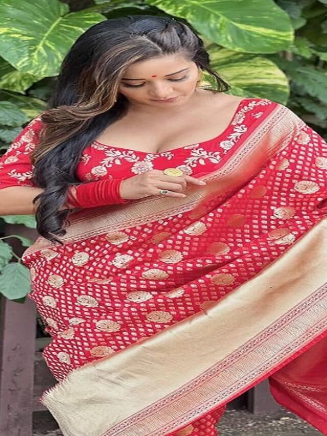 Monalisa Hot Pics: Monalisa ने लाल साड़ी में बिखेरा हुस्न का जलवा, तस्वीरें देख फैंस हुए मदहोश