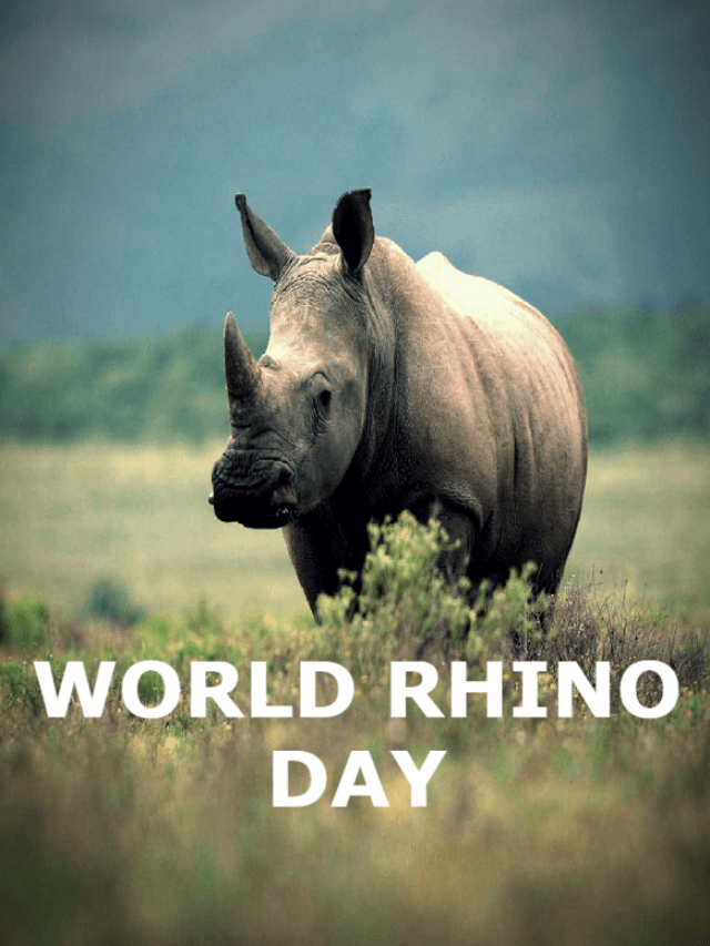 WORLD RHINO DAY : अवैध शिकार और आवास की हानि का कारण संरक्षण की है जरूरत