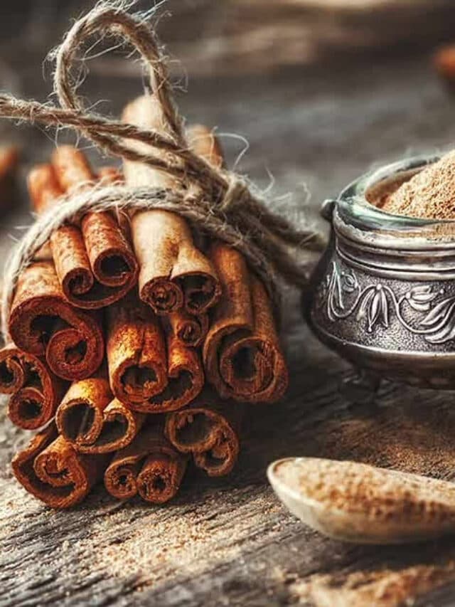 Dalchini Ke Fayde In Hindi: वजन घटाने से लेकर कोलेस्ट्रॉल कम करने तक, दालचीनी के सेवन से मिलेंगे कई बेहतरीन फायदे