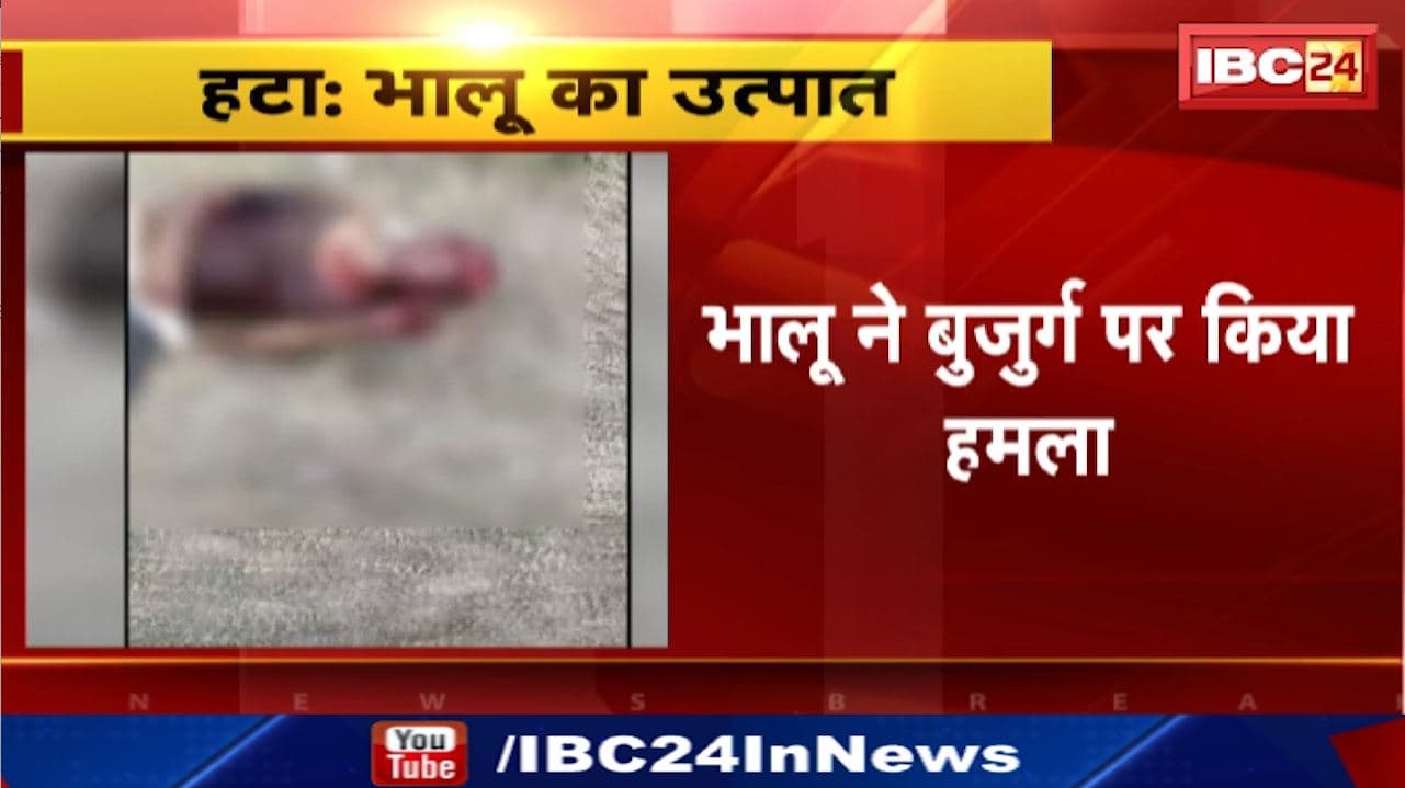 Hatta News : भालू ने बुजुर्ग पर किया हमला | कुम्हारी क्षेत्र की घटना