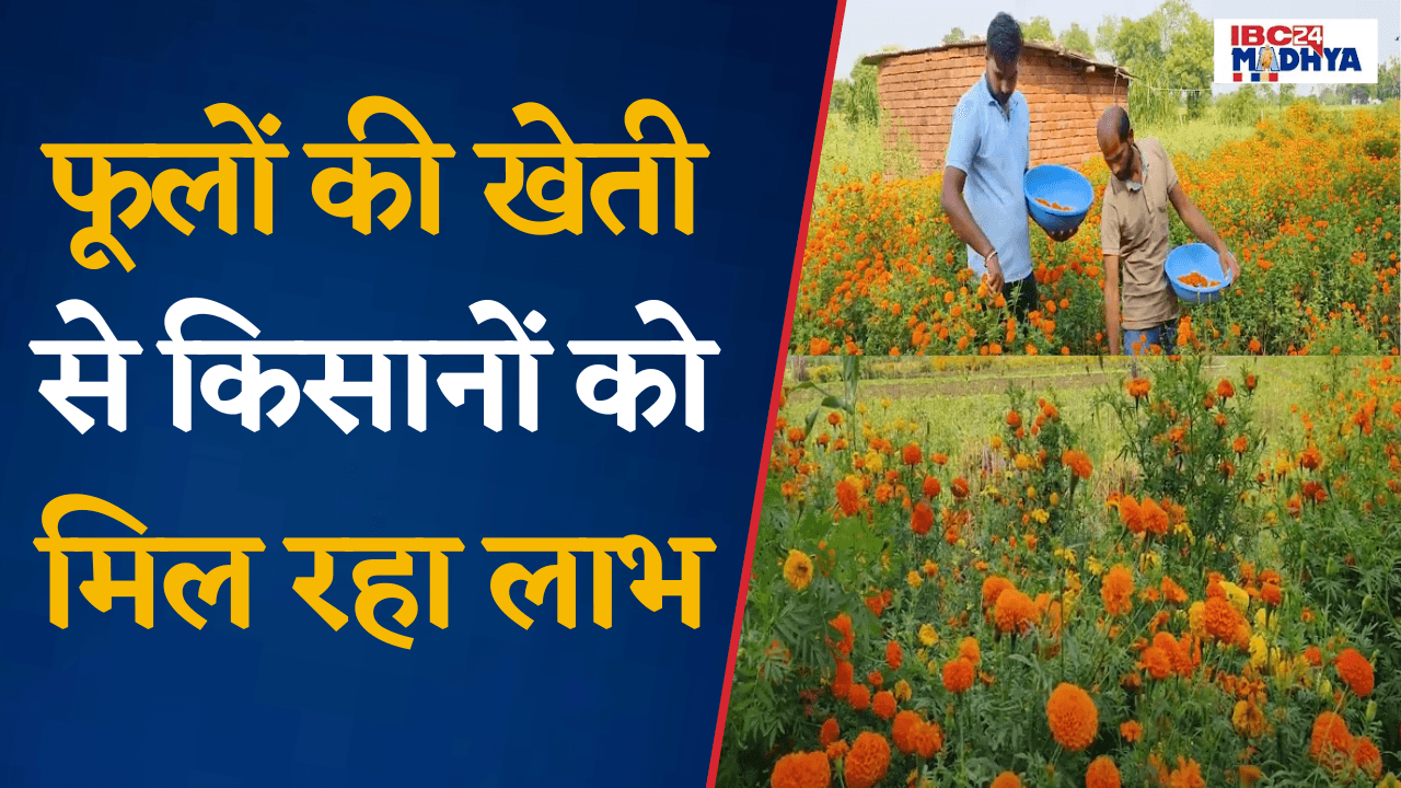 Vidisha: फूलों की खेती से किसानों को मिल रहा लाभ, गेंदे के फूलों की दीपावली पर रहेगी भरपूर आवक l