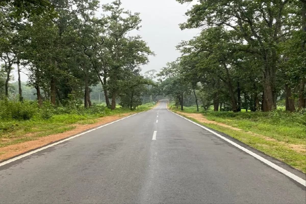 CG News : सड़कों के जाल से बदल रही छत्तीसगढ़ की तस्वीर, साय सरकार के प्रयासों से बनेंगे कई नेशनल हाइवे, बस्तर में बढ़ी कनेक्टिविटी