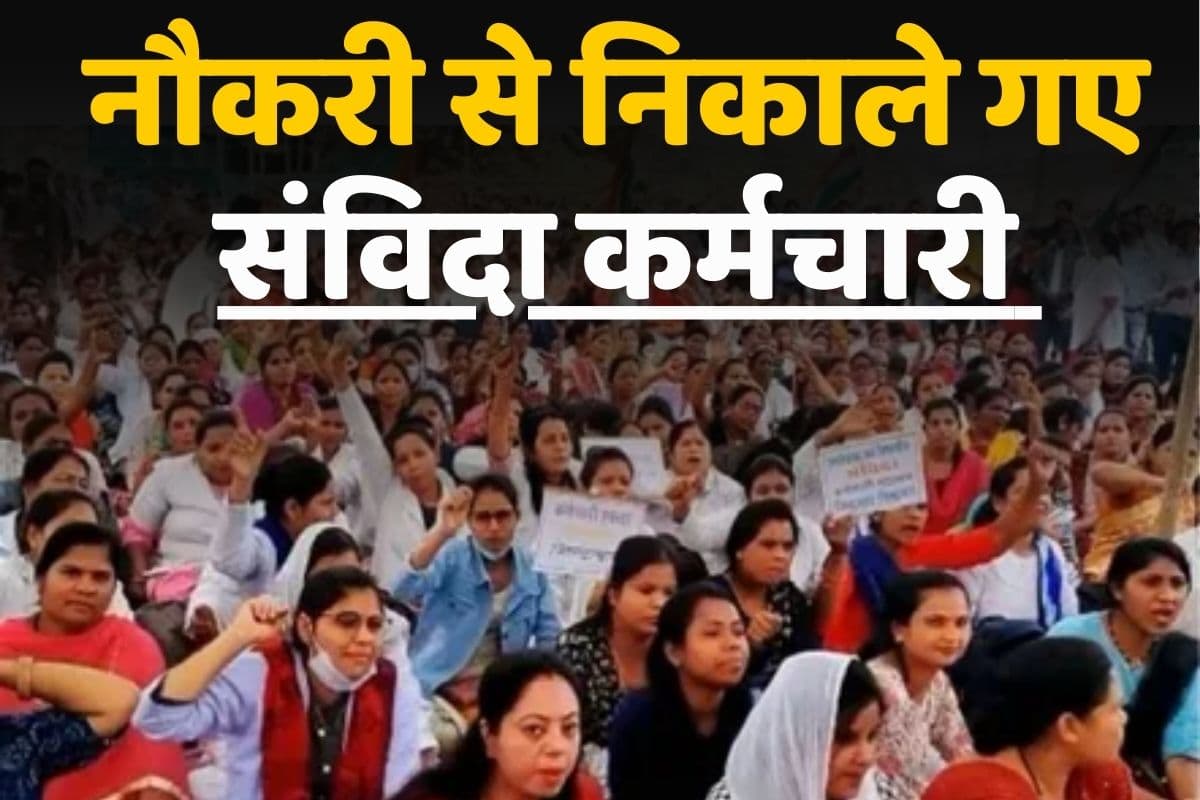 Samvida Karmachari Latest News: सभी संविदा कर्मचारियों को नौकरी से निकालने का आदेश, दिवाली से पहले लगा तगड़ा झटका, इस वजह से लिया गया फैसला