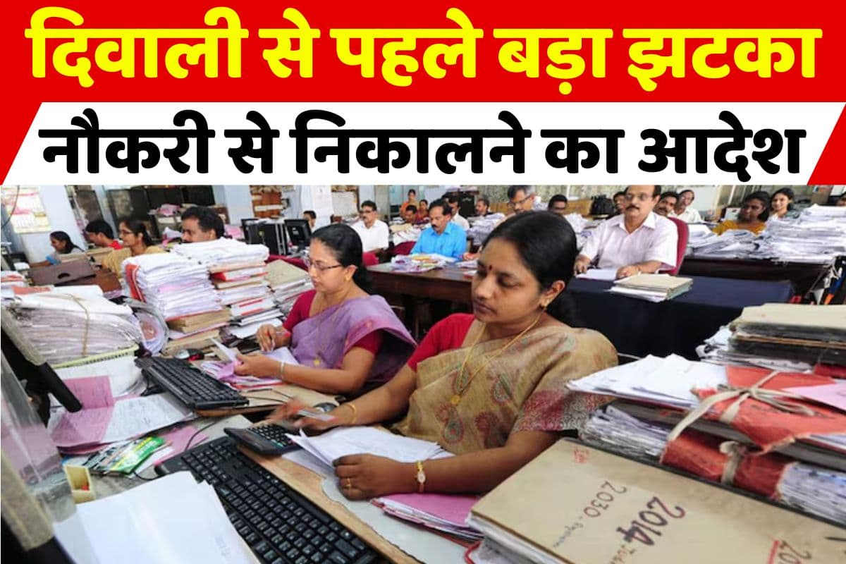 Contract Employees Latest Update: चली गई संविदा कर्मचारियों की नौकरी, एक साथ इतने लोगों को नौकरी से निकालने का आदेश, दिवाली से पहले लगा तगड़ा झटका