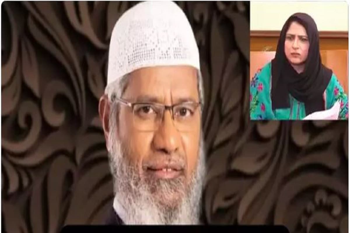 “लड़की को 20 मिनट देखने पर आपको कुछ नहीं होता है तो आप मेडिकली बीमार हैं”, जाकिर नाइक का बयान