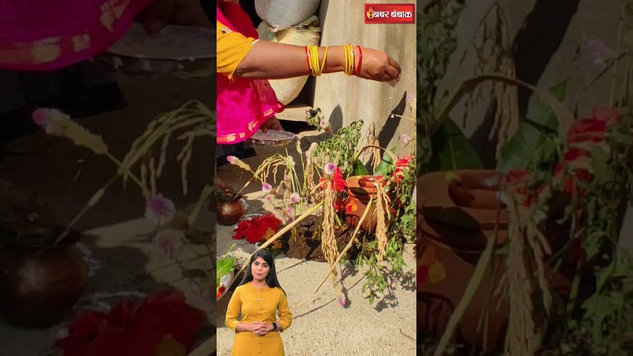 Chhattisgarh में कैसे होती हैं गोवर्धन पूजा? क्या हैं सोहई बांधने की परंपरा #cgkibaat #govardhanpuja