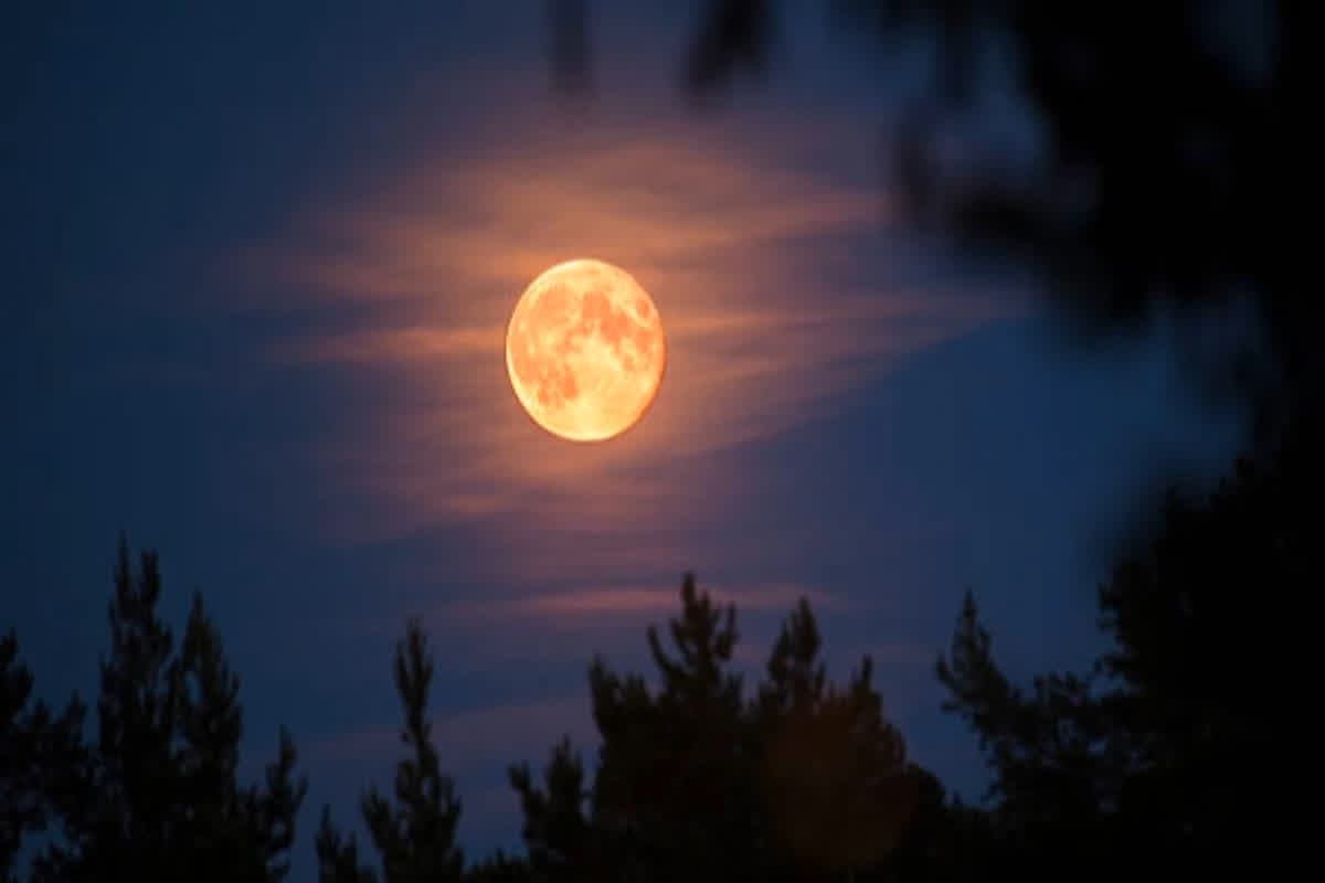 Sharad Purnima 2024: 16 या 17 अक्टूबर कब है शरद पूर्णिमा?, जानिए क्या है इसका महत्व और सही तारीख व मुहूर्त