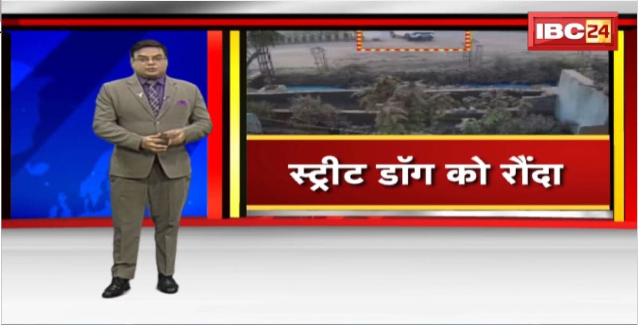 Animal Cruelty in Bhilai : वाहन चालक ने स्ट्रीट डॉग को रौंदा। डॉग लवर ने चालक के खिलाफ मामला कराया दर्ज