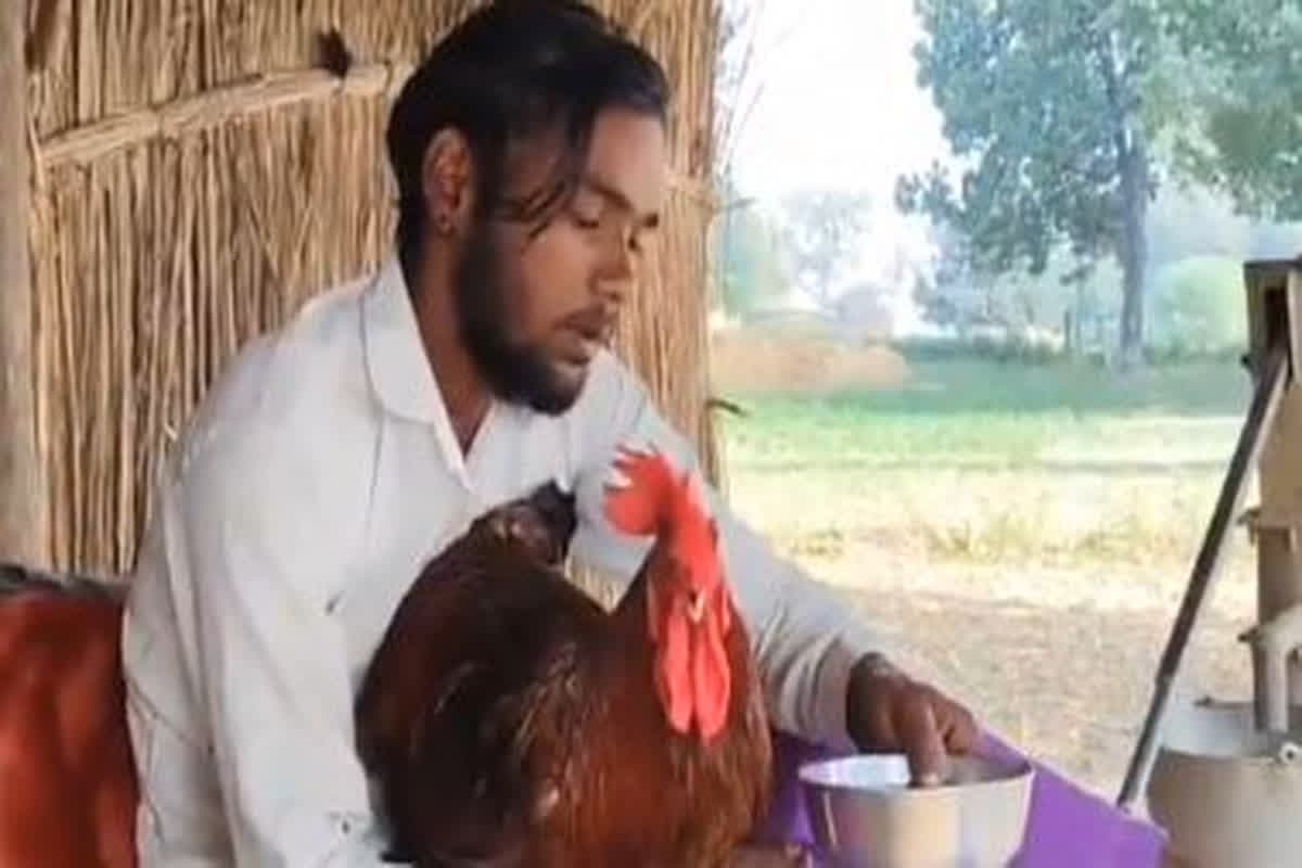 Chicken Murder Case : मुर्गे की हत्या के बाद मालिक हुआ दुखी, रोते हुए थाने पहुंचा मालिक, यहां देखें इमोशनल वीडियो