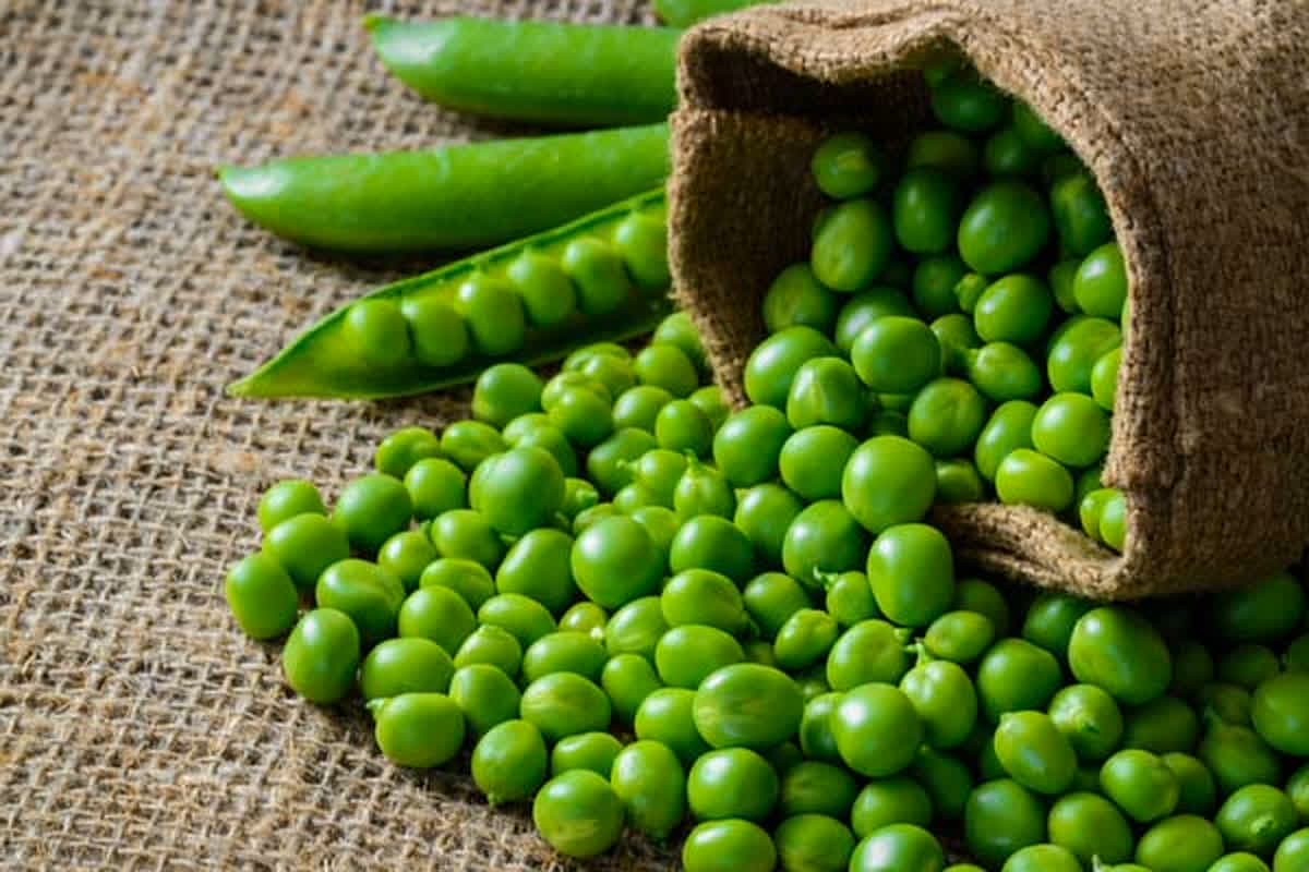 Peas Price in Raipur: राजधानी में हुई मटर की एंट्री.. कीमत उड़ा देंगे होश, टमाटर के दाम में भी उछाल