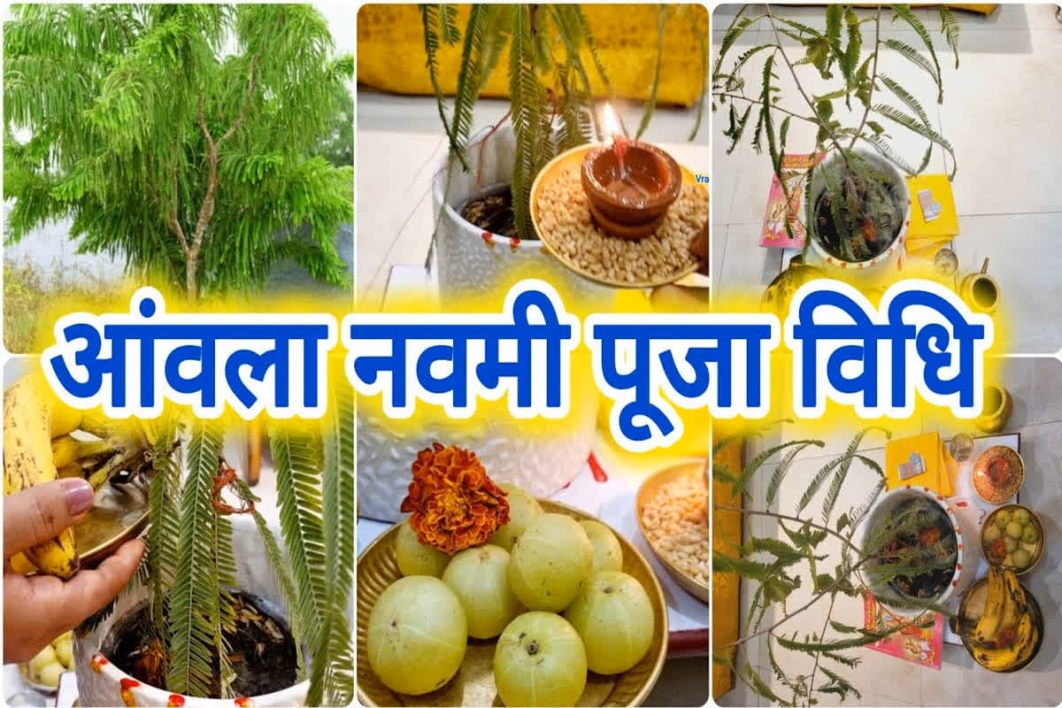 Akshay Navami 2024 Shubh Muhurat: अक्षय नवमी पर इस मुहूर्त पर करें पूजा, सुख समृद्धि से भर जाएगी तिजोरी, जानिए क्या है पूजन विधि