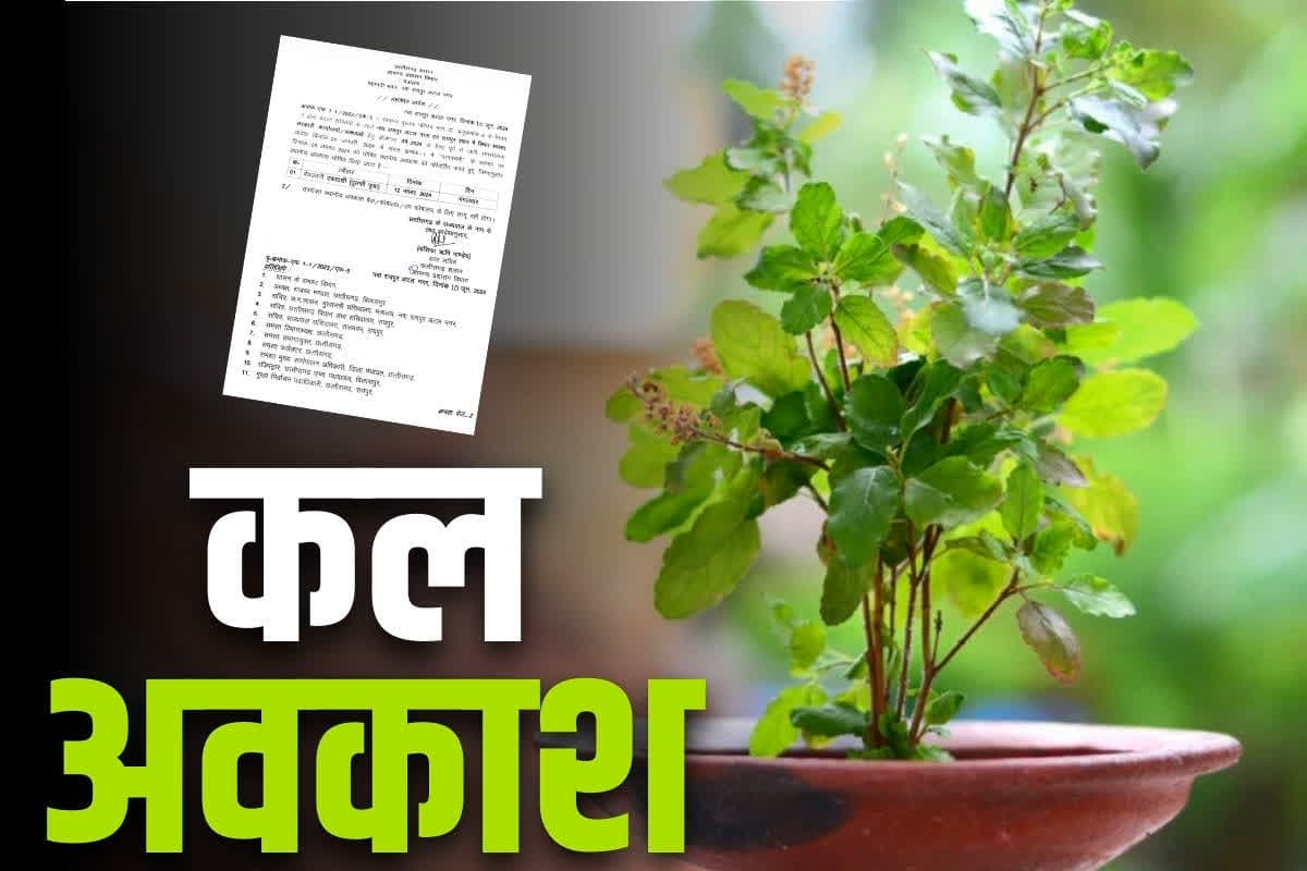 Public Holiday in Capital: राजधानी क्षेत्र में कल रहेगी सरकारी छुट्टी.. बंद रहेंगे दफ्तर और स्कूलों के पट, देखें GAD का आदेश पत्र