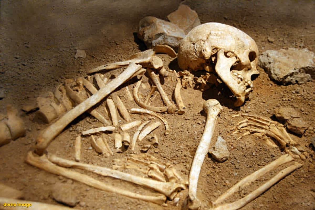 Skeleton found in a closed madrasa: बंद मदरसे में मिला मानव कंकाल.. इलाके में सनसनी का माहौल, पुलिस ने खंगाली लापता लोगों की लिस्ट..