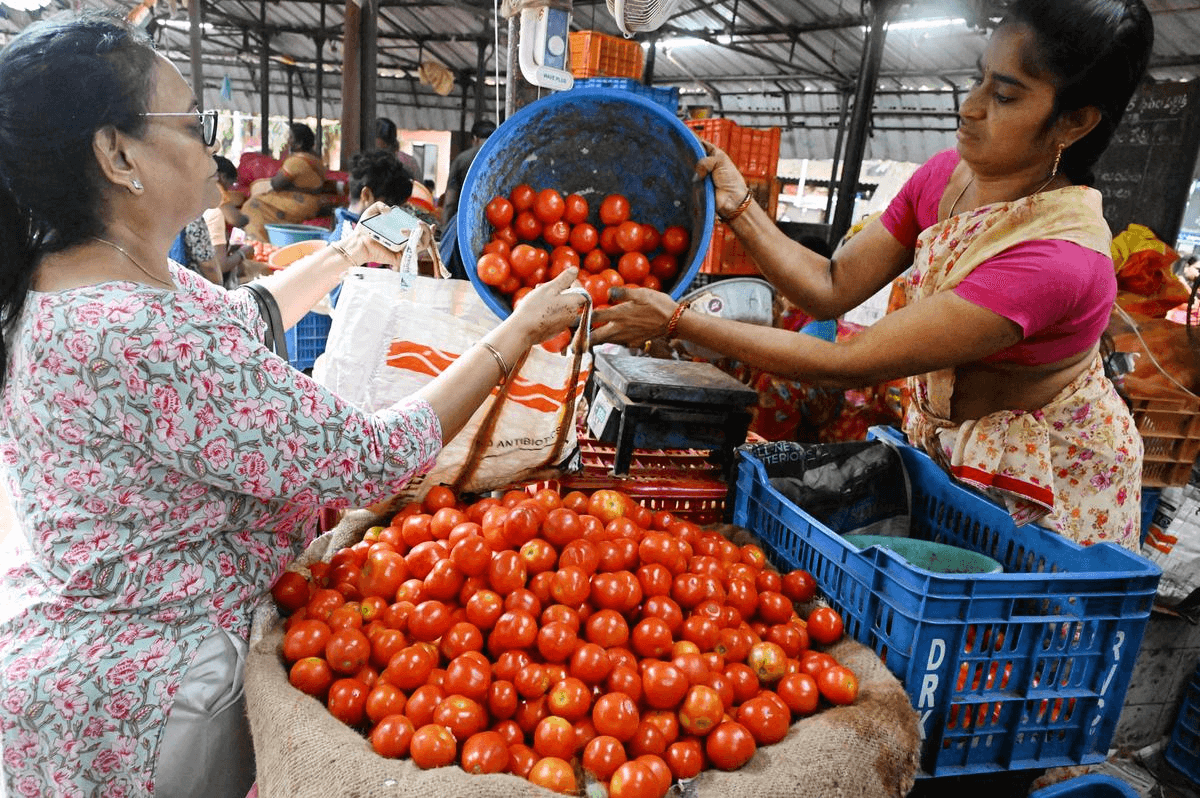 Tomato price today: 14 से 20 रुपये किलो तक कम हुए टमाटर के दाम.. अब आम लोगों को मिलने वाली है महंगाई से राहत..