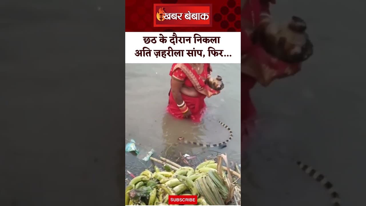 छठ के दौरान निकला अति ज़हरीला सांप, फिर जो हुआ… | Khabar Bebak | #viralvideo