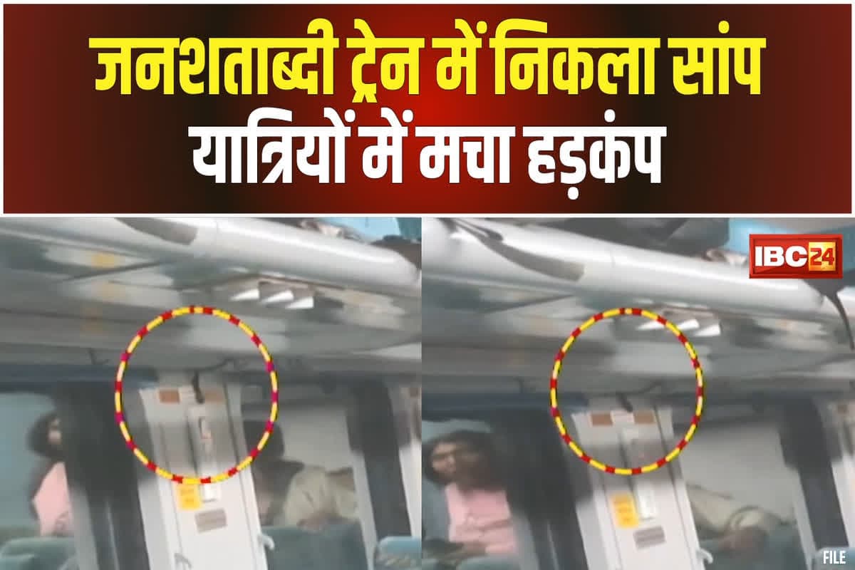 Jabalpur Railway Latest News: जनशताब्दी एक्सप्रेस के एसी कोच में फिर निकला 3 फीट लंबा सांप, यात्रियों में मची भगदड़, वायरल हो रहा वीडियो