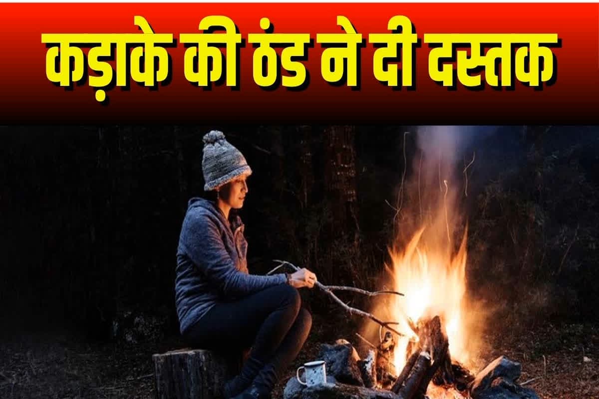 MP Weather Update : प्रदेश में शीतलहर का कहर जारी.. अगले 2 दिन पड़ेगी कड़ाके की ठंड, सर्द हवाएं दिखाएंगी अपना असली रूप, अलर्ट जारी