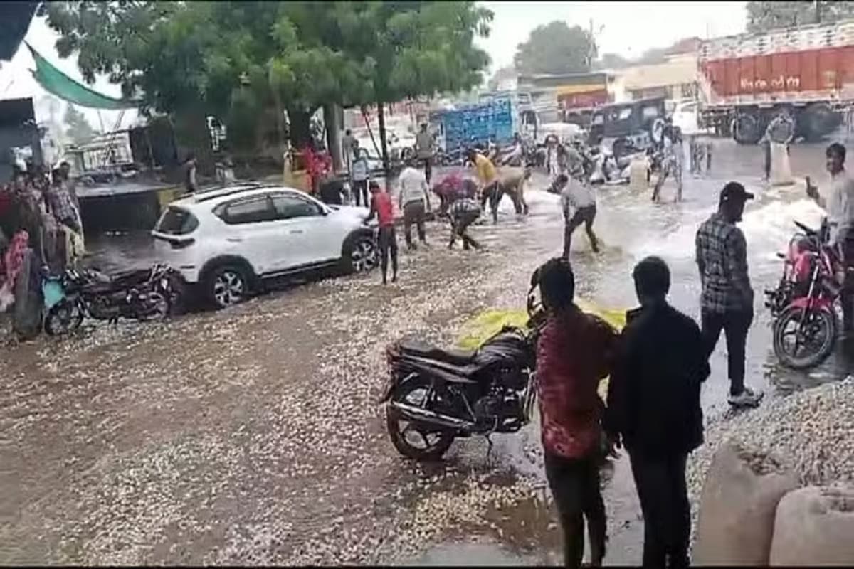 MP Weather Update: आसमानी आफत के आगे बेबस हुए अन्नदाता, पानी में बह गई लाखों की लहसुन, वीडियो देख आंख से टपक पड़ेंगे आंसू