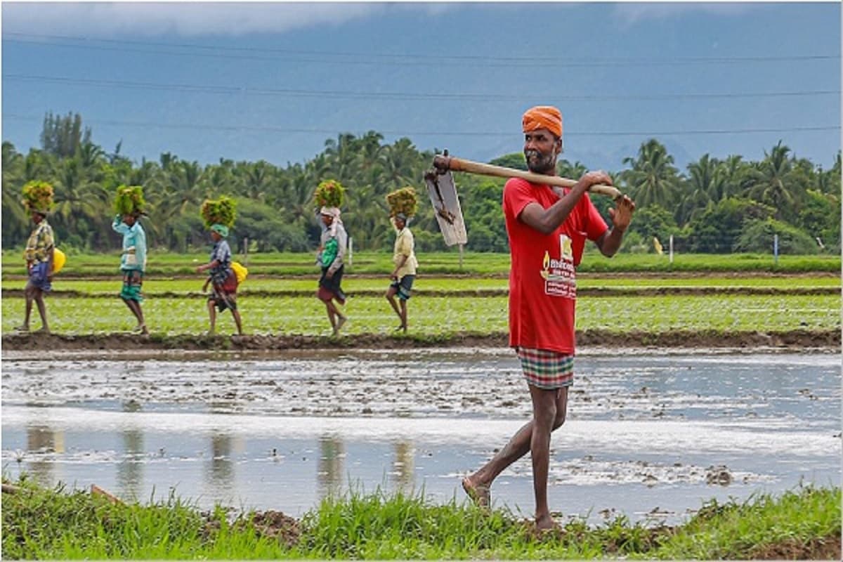 Budget 2025 For Farmers : बजट के भरोसे देश का किसान.. क्या मोदी सरकार कर पाएगी मांग पूरी? जानें क्या चाहता है किसान