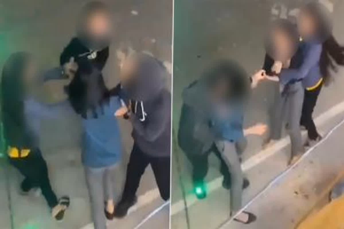 Girl Fighting Viral Video: बॉयफ्रेंड के लिए आपस में भिड़ी दो लड़कियां, जमकर चले लात-घूंसे, सोशल मीडिया पर वायरल हुआ वीडियो