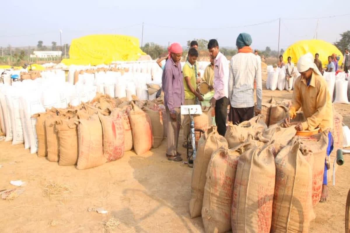 CG Dhan Kharidi 2024-25: छत्तीसगढ़ में बना धान खरीदी में नया कीर्तिमान, इस बार हुई 149.25 लाख मीट्रिक टन धान की खरीदी