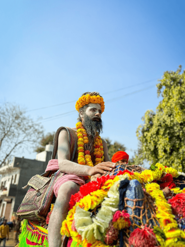 Maha Kumbh 2025: क्या आप जानते हैं कि महाकुंभ के बाद नागा साधु कहां चले जाते हैं?…