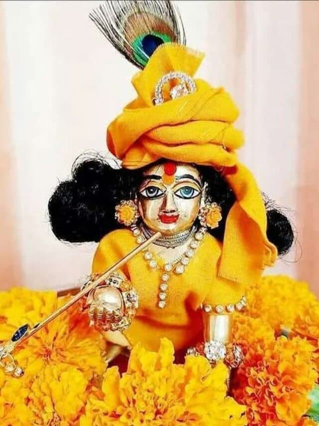 Laddu Gopal: घर में लड्डू गोपाल को अकेले क्यों नहीं छोड़ना चाहिए? जानें