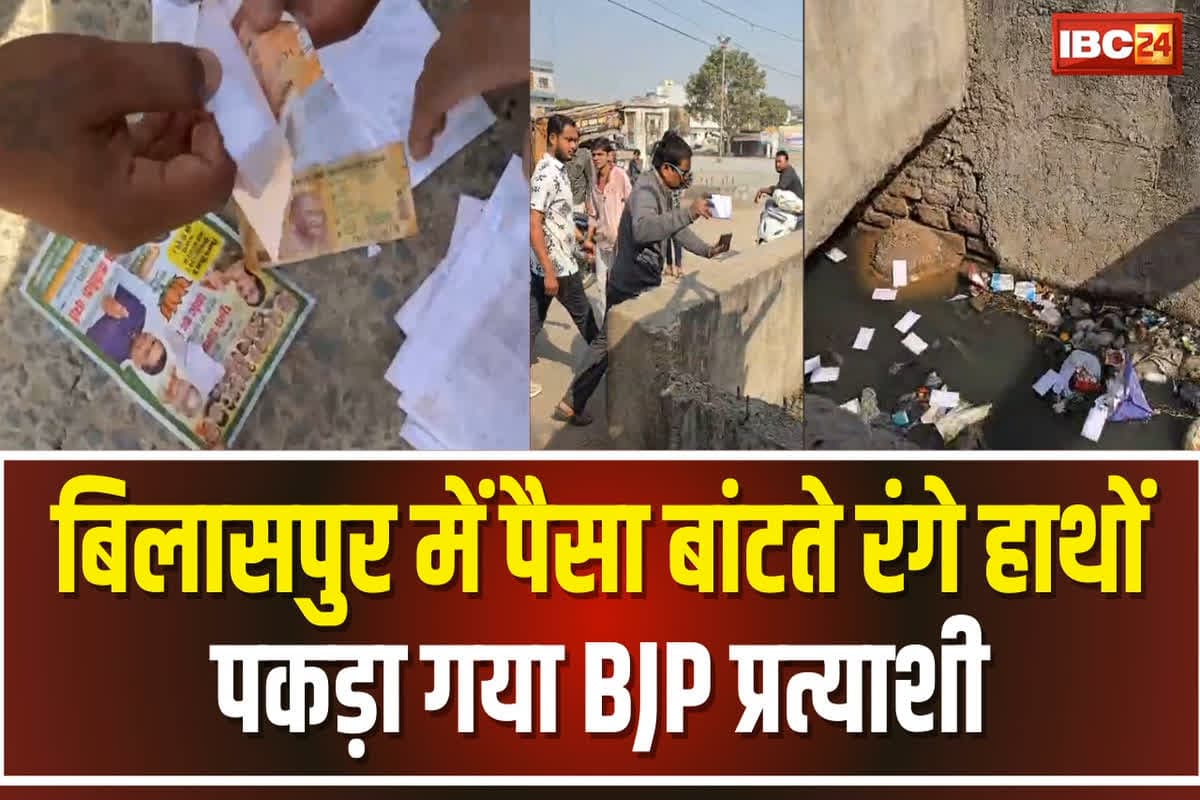 BJP Parshad Candidate Video Viral: मतदान से एक दिन पहले पैसे बांटते पकड़ा गया भाजपा का पार्षद प्रत्याशी, पकड़ाते ही नाले में फेंक दी गड्डी, वीडियो आया सामने