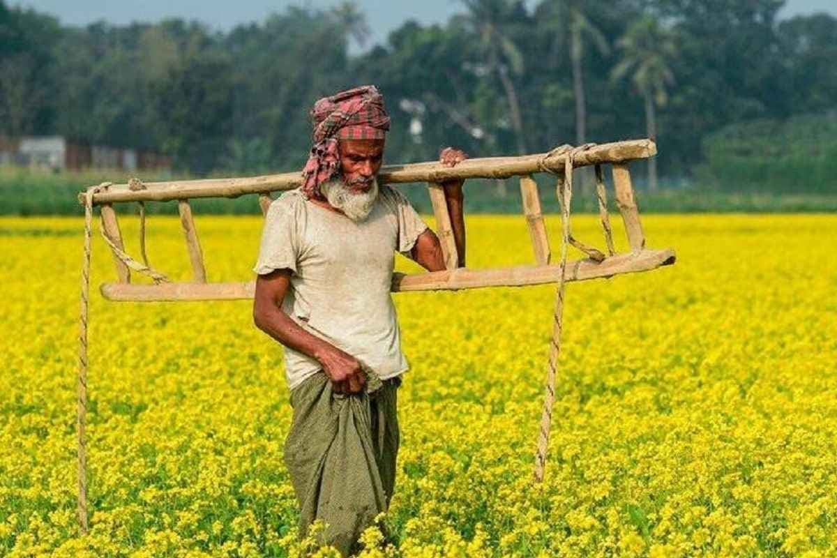 Chhattisgarh Agristack Registration: छत्तीसगढ़ में किसानों को एक क्लिक में सभी योजनाओं का फायदा.. Agristack के तहत 2.64 किसानों का रजिस्ट्रेशन पूरा