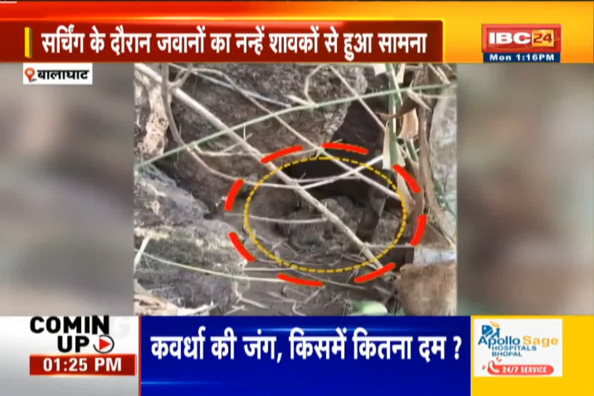 Video Of Leopard Cub : नक्सल ऑपरेशन में निकले जवानों का नन्हे शावकों से हुआ सामना, वीडियो देख रह जाएंगे दंग