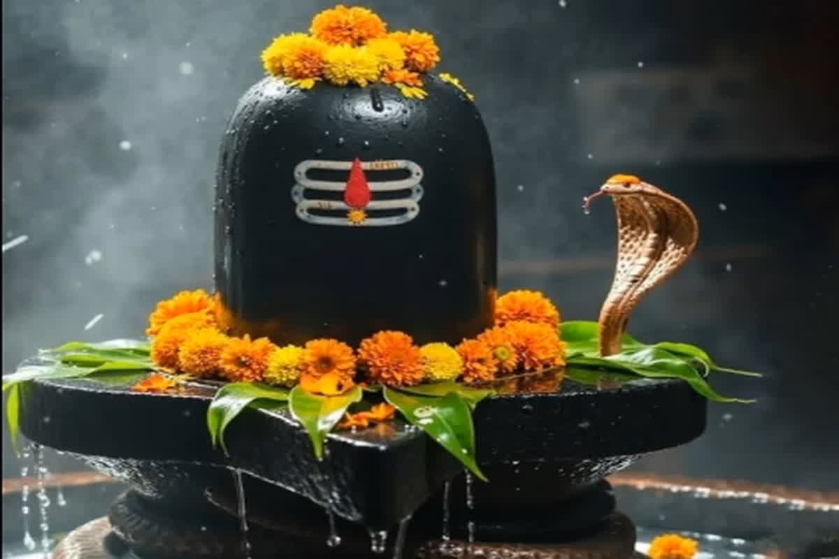 Mahashivratri 2025: महाशिवरात्रि पर राशि अनुसार शिवलिंग पर अर्पित करें ये चीजें, बनी रहेगी महादेव की कृपा