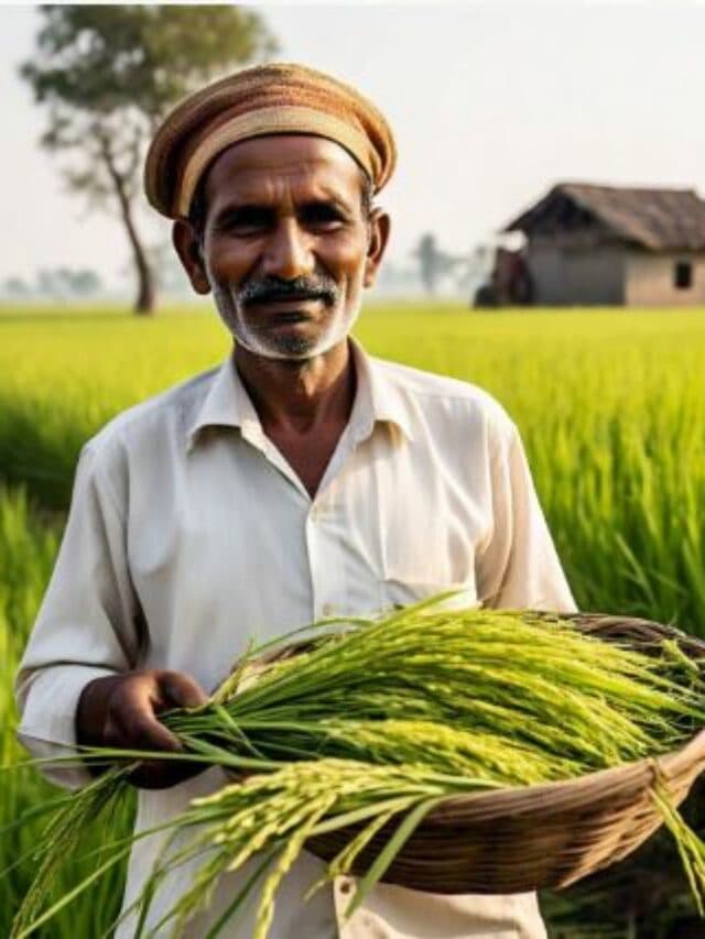 Budget 2025: बजट में किसानों के लिए पीएम धन धान्य योजना का ऐलान, 1.7 करोड़ किसानों को मिलेगा लाभ