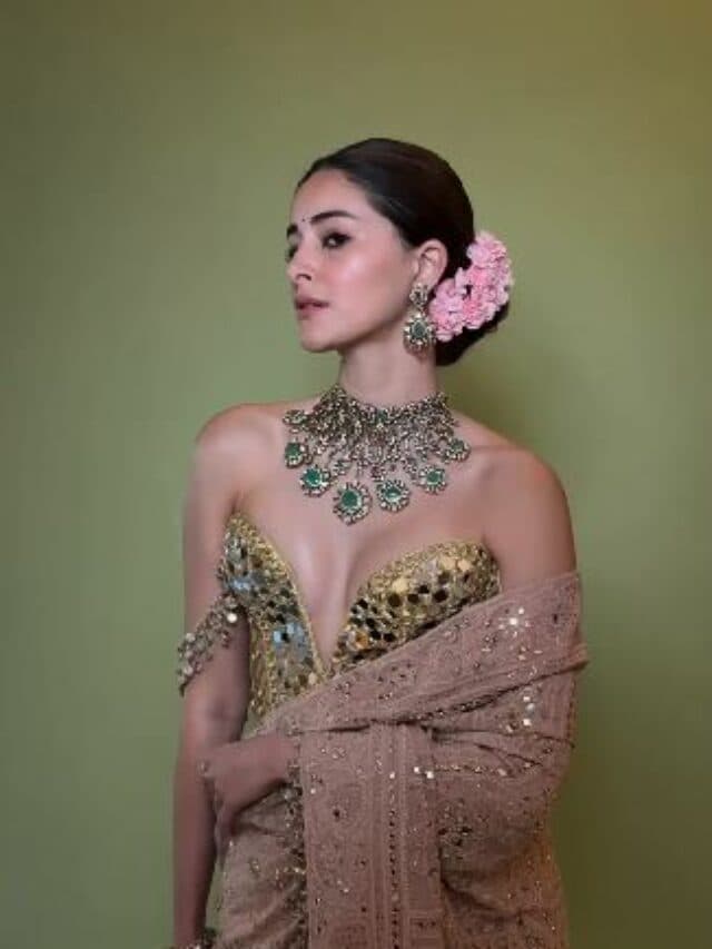 Ananya Panday Hot Look: पीच ट्रांसपेरेंट साड़ी में अनन्या पांडे ने दिखाया ग्लैमरस अवतार, एक्ट्रेस की हॉटनेस ने बढ़ाया टेम्प्रेचर