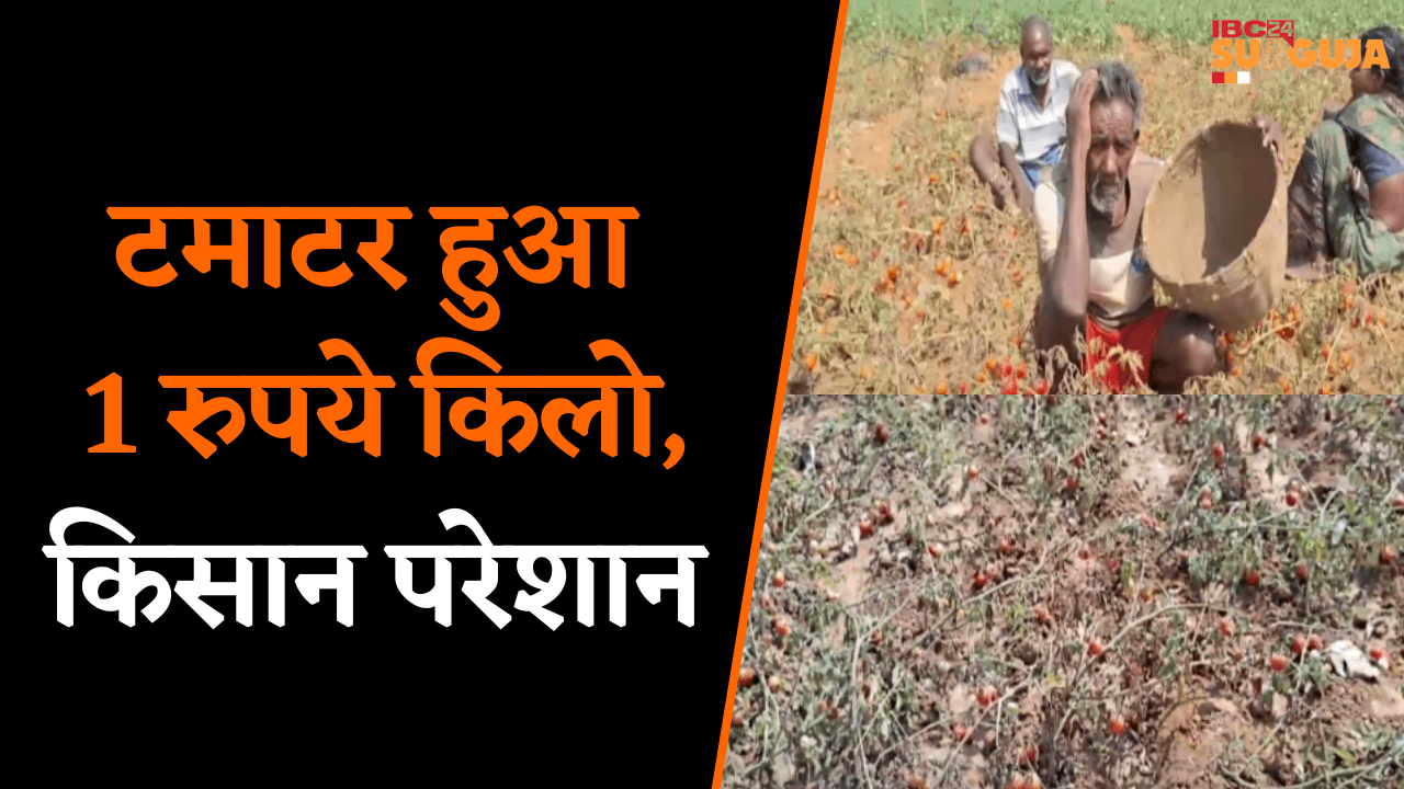 टमाटर हुआ 1 रुपये किलो, किसान परेशान | Jashpur News