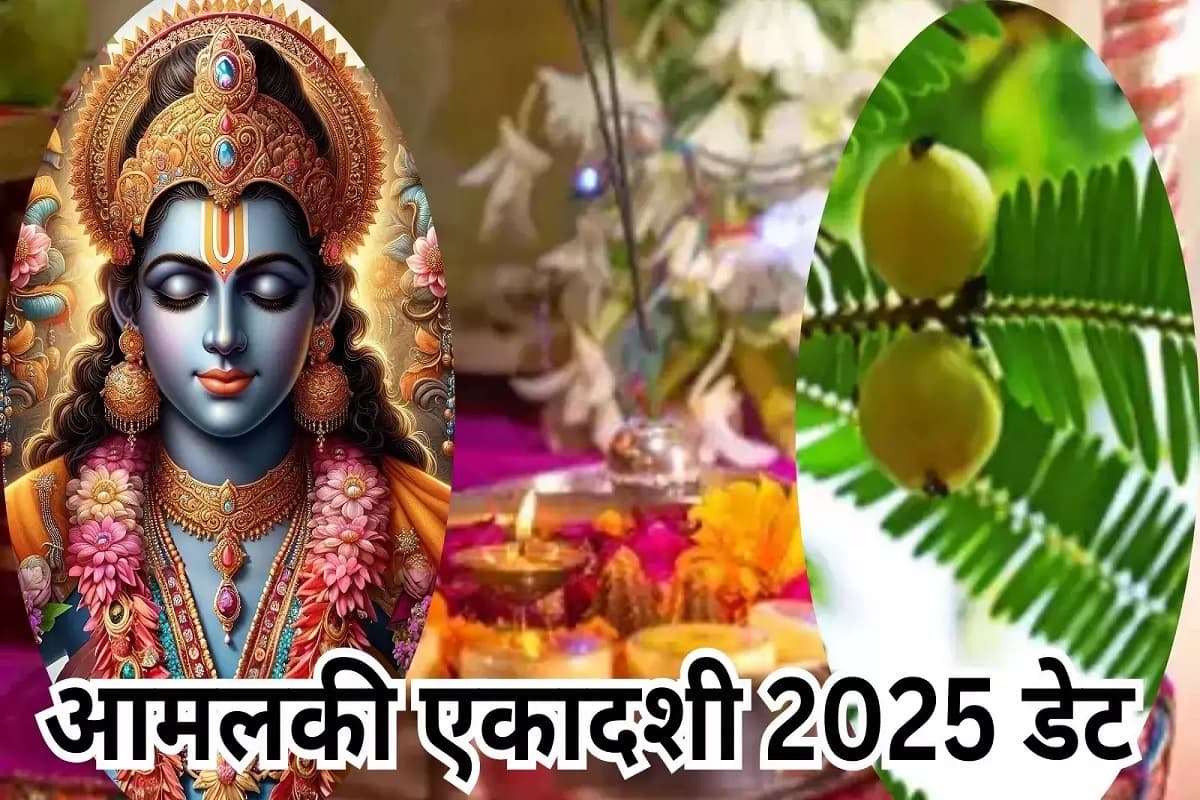Amalaki Ekadashi 2025 date : इस वर्ष कब है आमलकी एकादशी यां आँवला एकादशी? जाने तिथि, महत्त्व, पूजा की विधि तथा व्रत से जुडी पूर्ण जानकारी