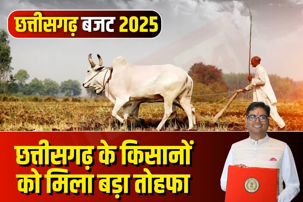 CG Budget For Free Bijli Yojana : किसानों को मिलेगी फ्री बिजली, बजट में वित्त मंत्री ओपी चौधरी ने किय ऐलान, जानें कितनी राशि का किया गया प्रावधान