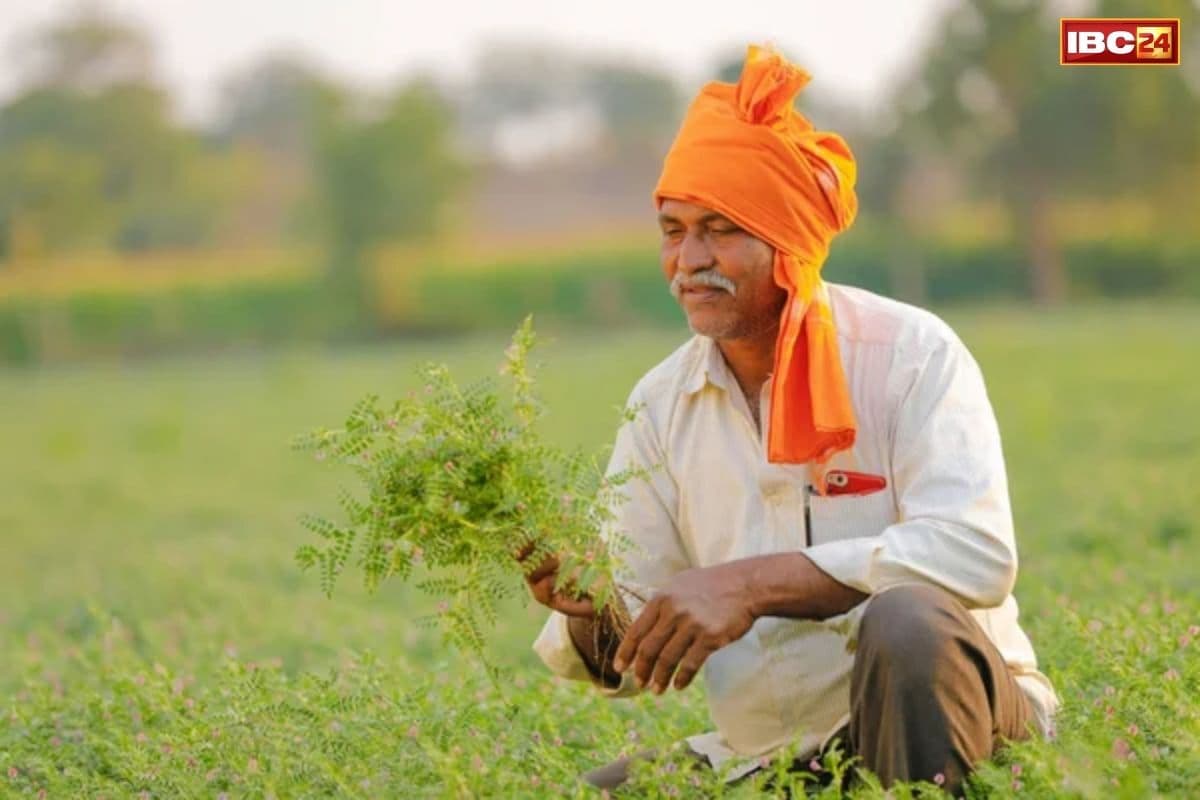 Incentive amount to Farmers: किसानों को धान उपार्जन पर प्रति हेक्टेयर 4000 रु की प्रोत्साहन राशि, गेहूं का उपार्जन 2600 रुपये प्रति क्विंटल, CM का ऐलान