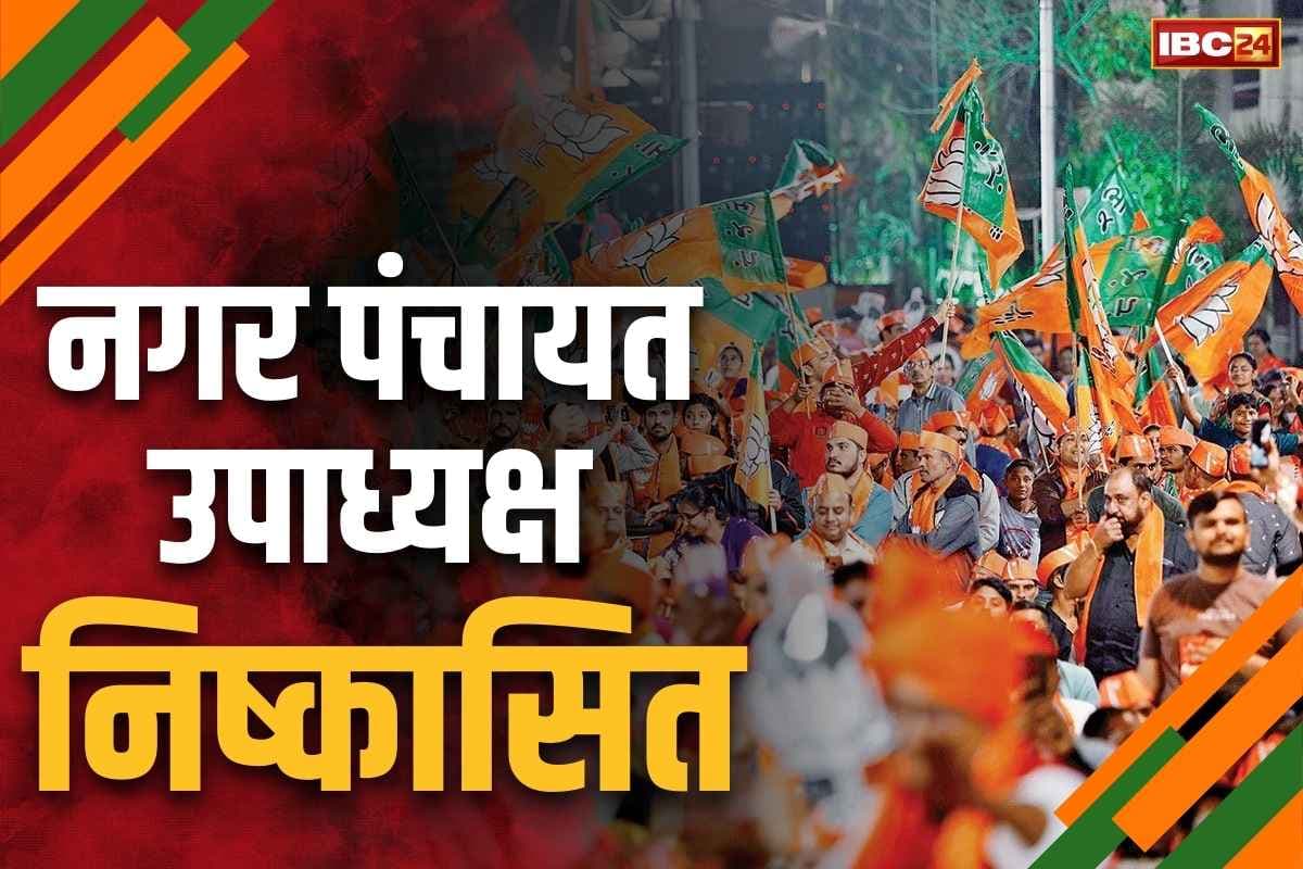 Vadrafnagar Nagar Panchayat News: भाजपा ने नवनिर्वाचित नगर पंचायत उपाध्यक्ष को पार्टी से निकाला.. संख्याबल के बावजूद नहीं मिली अधिकृत उम्मीदवार को जीत