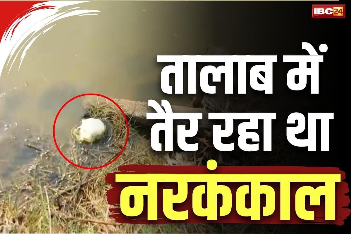 Dhamtari Skeleton Found: धमतरी में नरकंकाल मिलने से सनसनी!.. तालाब में नहा रहे लोगों ने देखा मानवमुंड तो पुलिस को दी खबर