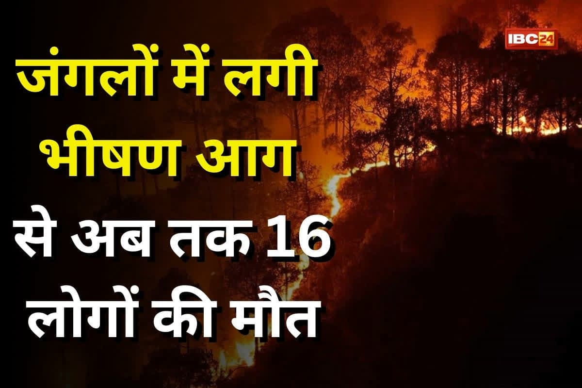 Forest fire in South Korea: तेज हवाओं के बीच जंगलों में लगी भीषण आग, 16 लोगों की मौत, 19 घायल, 43 हजार एकड़ में ​फैली भूमि जलकर खाक
