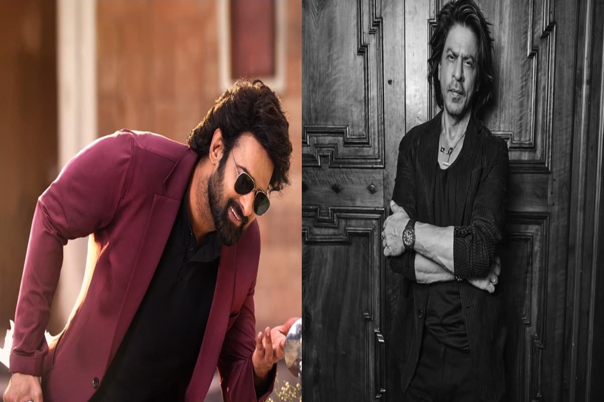 Popular Male Actors List: पॉपुलर स्टार्स की लिस्ट में साउथ एक्टर्स का दबदबा.. शाहरुख और विक्की कौशल को भी पछाड़ा, देखें लिस्ट
