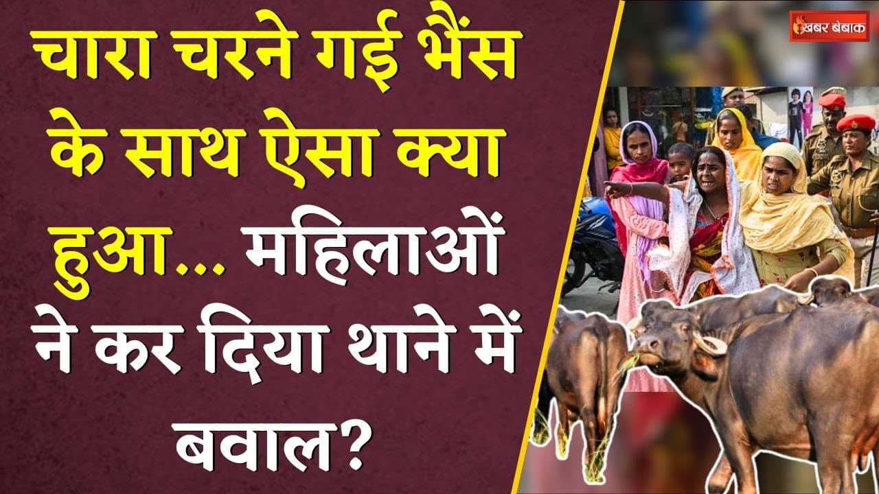 Chhattisgarh में भैंस चोरी पर बवाल, महिलाओं ने की नारेबाजी… पुलिस के छुटे पसीने | Mahasamund News