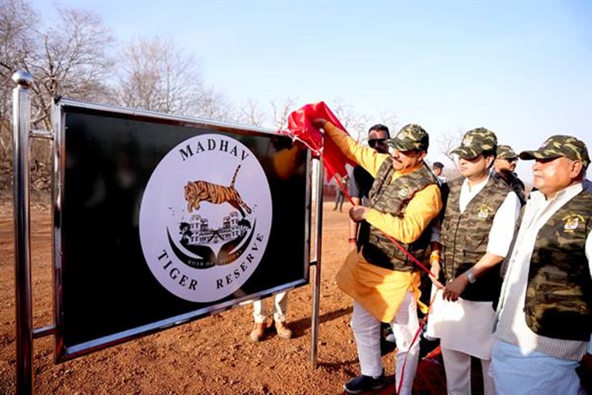 Madhav Tiger Reserve: प्रदेश में वन्य जीव पर्यटन से होगी रोजगार में वृद्धि, चंबल और निकटवर्ती क्षेत्र में खुलेंगे विकास के नए द्वार